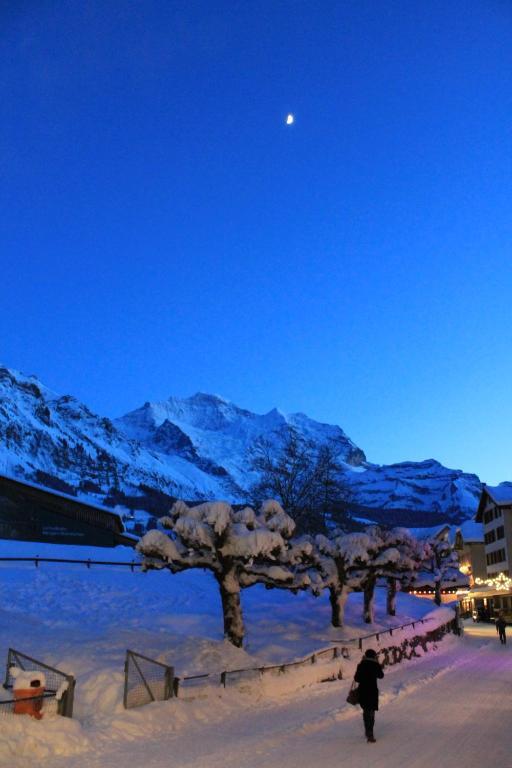 Aparthotel Residence Bernerhof Wengen Kültér fotó